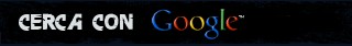 Cerca con Google